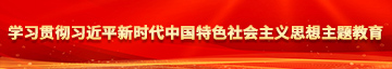 猛捣大鸡吧黄色视频学习贯彻习近平新时代中国特色社会主义思想主题教育